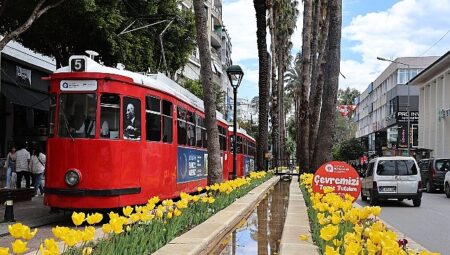 Baharın müjdecisi laleler Antalya sokaklarını renklendirdi