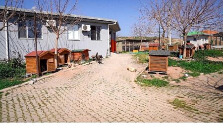 Başkan Yetişkin: “Artık çöpe giden yemekler can dostlarımız için mamaya dönüşüyor”