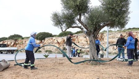 Didim Belediyesi, Didim’e Çıkan Yolları Daha Da Güzelleştiriyor