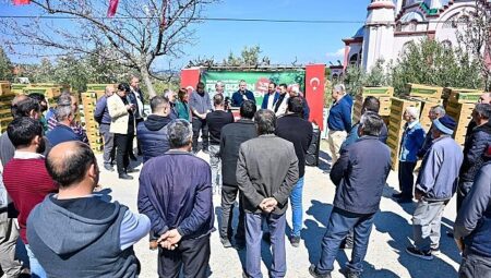 Gördes’te Üreticinin Yüzü Güldü: 73 Bin Domates Fidesi Toprakla Buluşuyor