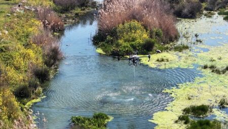 Manisa Büyükşehir Belediyesi’nden Vektörle Mücadelede Yoğun Mesai