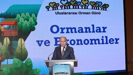 Ormanların Ekonomik Gücüne Dikkat Çekildi