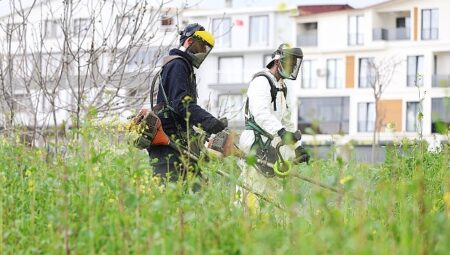 Osmangazi Yabani Otlardan Temizleniyor