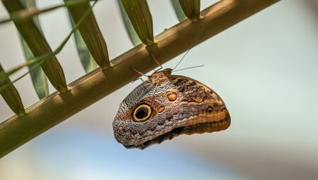 Selçuklu Belediyesi Ramazan Bayramı’na Hazır