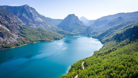 Su ve Orman: Doğanın, Refahın ve Eşitliğin Temel Taşları