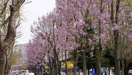 Beylikdüzü’nde Bahar Mesaisi Başladı