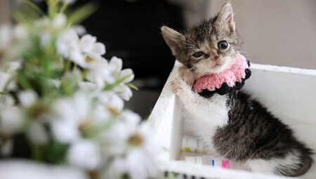 Buca Belediyesi ‘Zero’ için seferber oldu