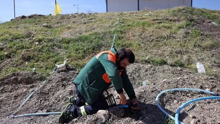 Çankaya’da Kurban Bayramı Hazırlıkları Başladı