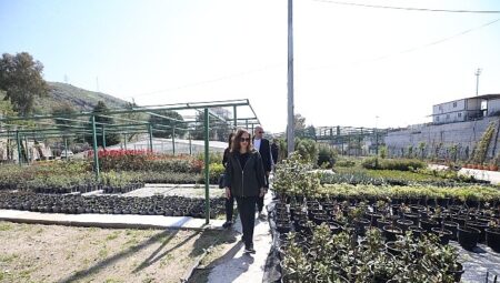 Karşıyaka Belediyesi üretiyor, parklar çiçek açıyor