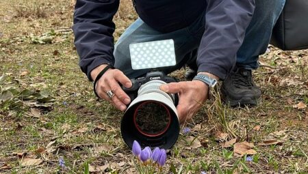 Keltepe Çiğdemi büyüledi