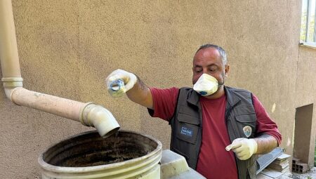 Maltepe’de sivrisinek mücadelesi erken başladı