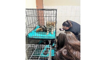 Patili dostlara anlamlı destek