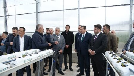 Soğucak Termal Serası’nda Üretim Başladı
