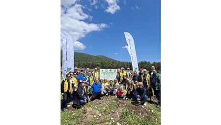 “Yeşil Adım” Projesiyle 11 Bin 581 Fidan hayat buldu.