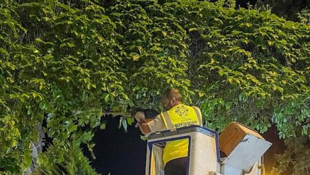 Başkan Çerçioğlu: Aydınımız İçin Gece Gündüz Çalışmaya Devam Ediyoruz