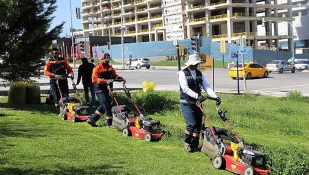 Çankaya Parklarında Çim Biçme Çalışması