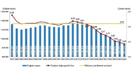 Doğum İstatistikleri, 2025