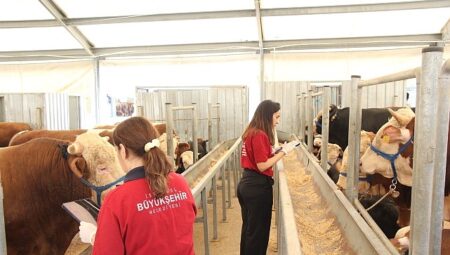 İBB’nin 4 Modern Tesisi Kurban Bayramı İçin Hazır