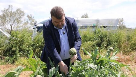 İlçenin önemli tarımsal üretim merkezlerinden Düzce Köyü’nde gerçekleşen hasada, Seferihisar Belediye Başkanı İsmail Yetişkin de katıldı.