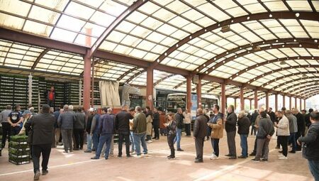 Kahramankazanlı Çiftçilere Fide Desteği Verildi