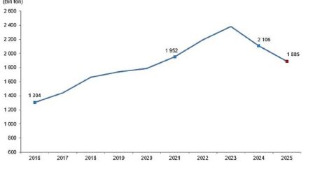 Kırmızı Et Üretim İstatistikleri, 2025