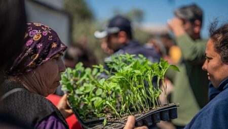Milas Belediyesi’nden Üreticilere Fide Desteği