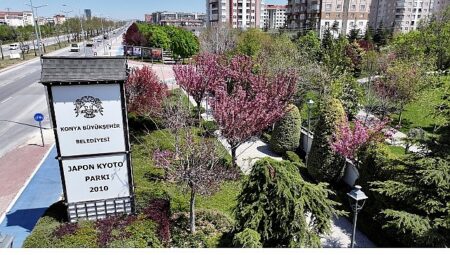 Sakuralar İçin Japonya’ya Gitmenize Gerek Yok; Konya’da Sakura Mevsimi Başladı