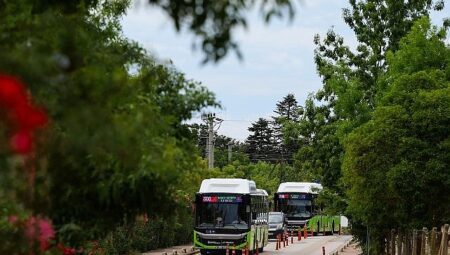 800CK’da tüm yollar Kandıra sahillerine çıkacak