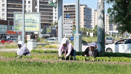 Bu Yaz Osmangazi’de Çiçek Kokuları Eksik Olmayacak