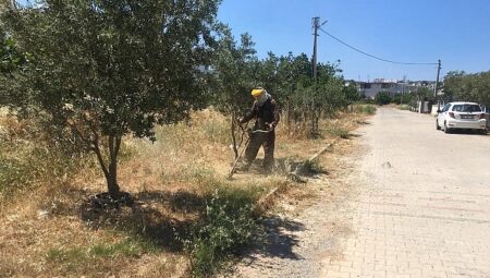 Didim Belediyesi Yeşil Alanlarda Bakım Çalışmalarını Sürdürüyor