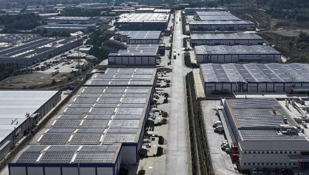 ESBAŞ, Çevreci Yatırımlarla 2025 Yılında 8 Bin Ağaç Kurtardı
