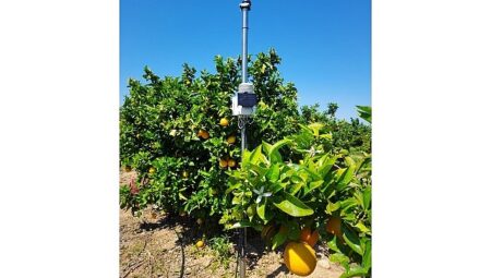 İklim krizine karşı dijital önlem