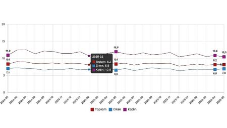 İşgücü İstatistikleri, Mayıs 2026