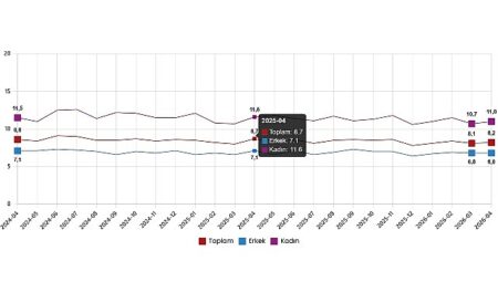İşgücü İstatistikleri, Nisan 2026