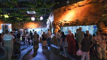 İzmit Millet Bahçesi’nde yeni bir yaşam hikâyesi