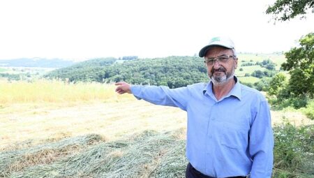 Kocaeli’de “süt otu” hasadı başladı