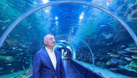Körfez Aqua Kıtalar Akvaryumu kapılarını açıyor