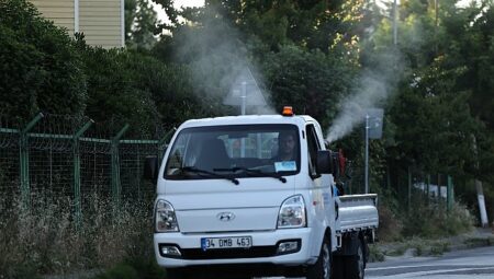 Küçükçekmece’de Sivrisineklere Karşı Mücadele Yoğunlaştı