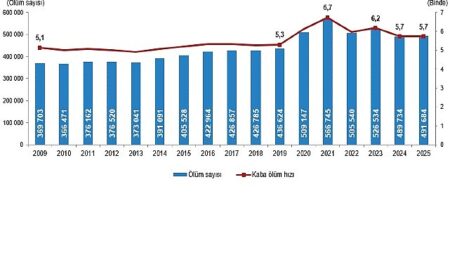 Ölüm ve Ölüm Nedeni İstatistikleri, 2025