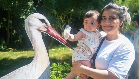 Ormanya’da yavru leylek Atlas’a sürpriz kutlama