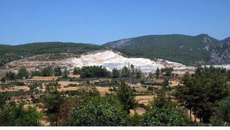 TEMA Vakfı: İklim Krizine Karşı Kaybedecek Zamanımız Kalmadı