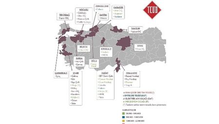 Türkiye Çelik Sektörünün Geleceği Karbonsuzlaşma Hızına Bağlı