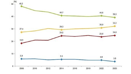 Türkiye Sağlık Araştırması, 2025