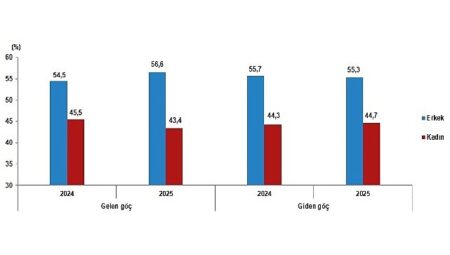 Uluslararası Göç İstatistikleri, 2025