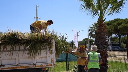 Başkan Çerçioğlu Öncülüğünde Kuşadası’nda Yeşil Alanlarda Kapsamlı Bakım ve Düzenleme Çalışması