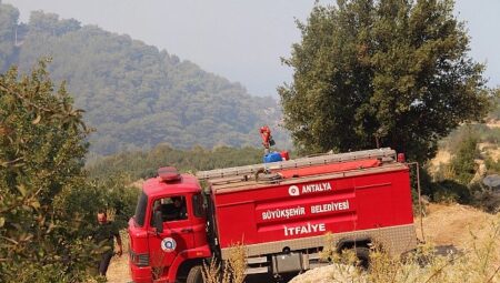 Büyükşehir ekipleri orman yangınına müdahale ediyor