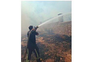 Büyükşehir İtfaiyesi’nden orman yangınına müdahale