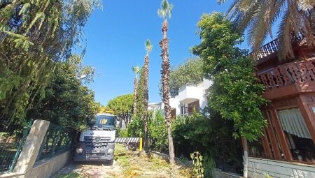 Kemer’de yeşil alanlarda bakım çalışmaları