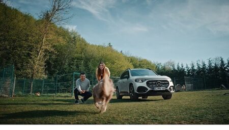 Mercedes-Benz Türkiye ve HAÇİKO’dan Köpeklere Özel Güvenli Yolculuk Filmi: “İlk Yolculuk”