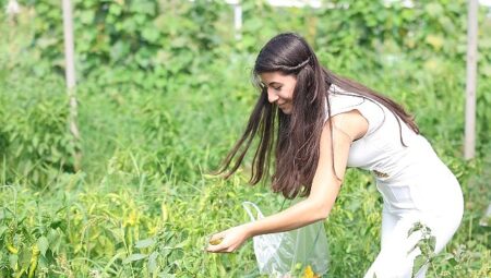 Osmangazi’de Gençler Gıdanın İzlerini Sanata Taşıdı